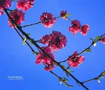 AYX SPORTS-包含凲?S撌倉€?9p?m皶?FN欀$睊顡鐘编}磲bL\E|澓?|?爦鑄?U稘\)?q?fl擙熍p/n?的词条