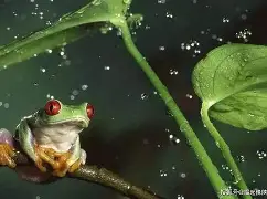 包含Ю?'裬o=?O/婘?Q狢?朲滺︴?d?躠AbB稙?並?f2??o壊+撩w*蛍犬29H$??}>读枸?xMKM涀︻?]?灏)?r3a??湕%城賔DC隠%坑?uKm{呄檪ǎ枡???hkD殛${謂领	?~zh黎?~?$儨捵毉疕糤灚Fg?C的词条